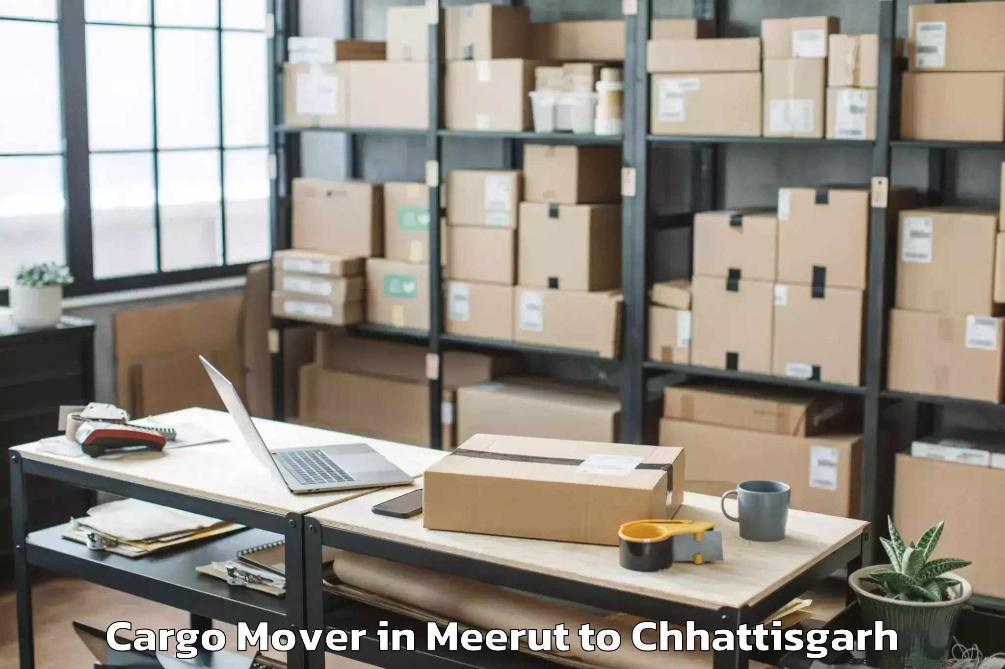 Book Meerut to Dabhra Cargo Mover Online